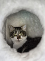 /album/27-10-2025/afbeelding-van-whatsapp-op-2025-10-26-om-14-23-18-144d53eb-jpg/